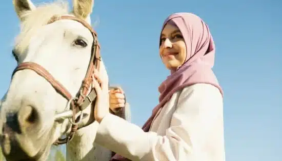 Cavalo Árabe Curiosidades Cavalo Árabe Curiosidades