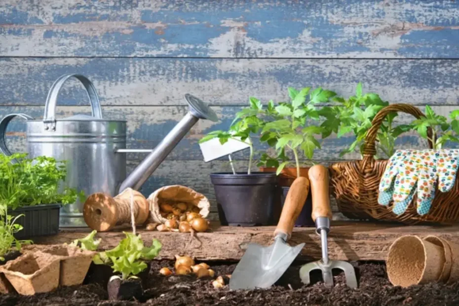 Como-fazer-uma-horta-em-casa-dic