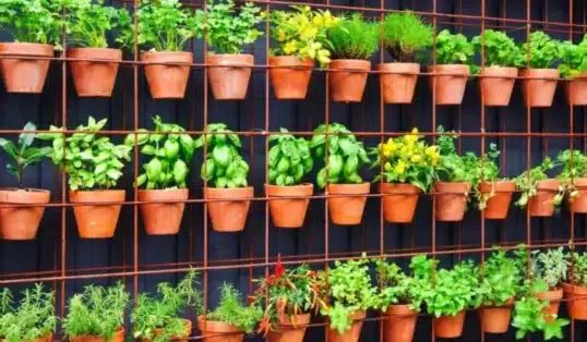 Horta em apartamento: dicas para ter uma hortinha