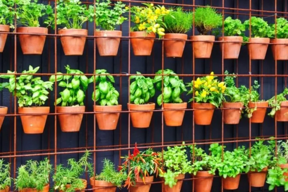 Horta em apartamento: dicas para ter uma hortinha