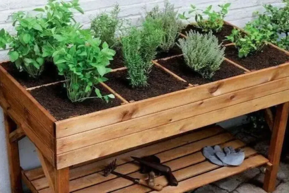 Quais as melhores hortaliças