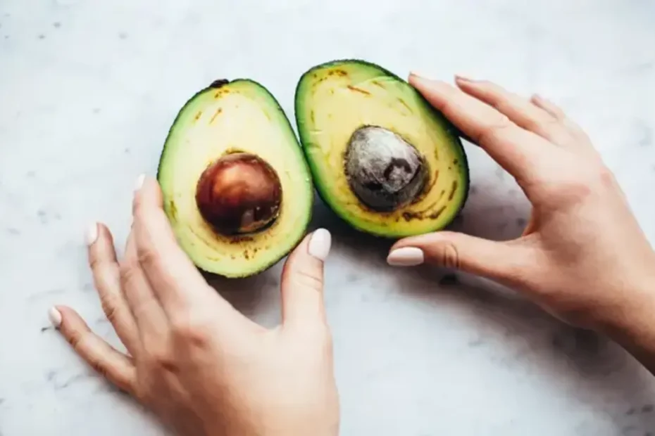 como-plantar-abacate-em-vaso-a-p