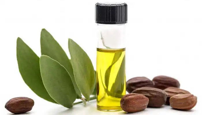 jojoba