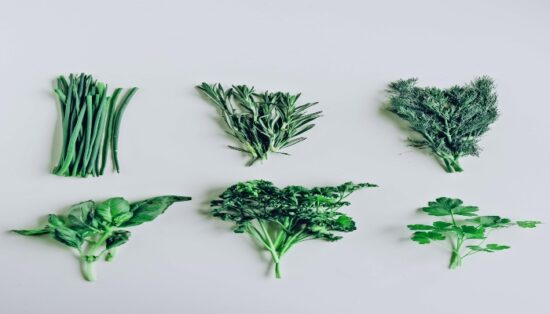 tipos de hortaliças