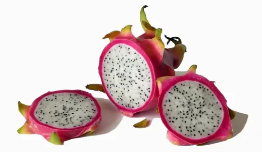 Como Plantar Pitaya em Casa