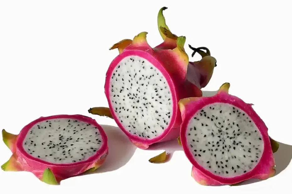 Como Plantar Pitaya em Casa