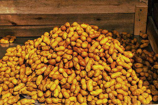 como plantar amendoim