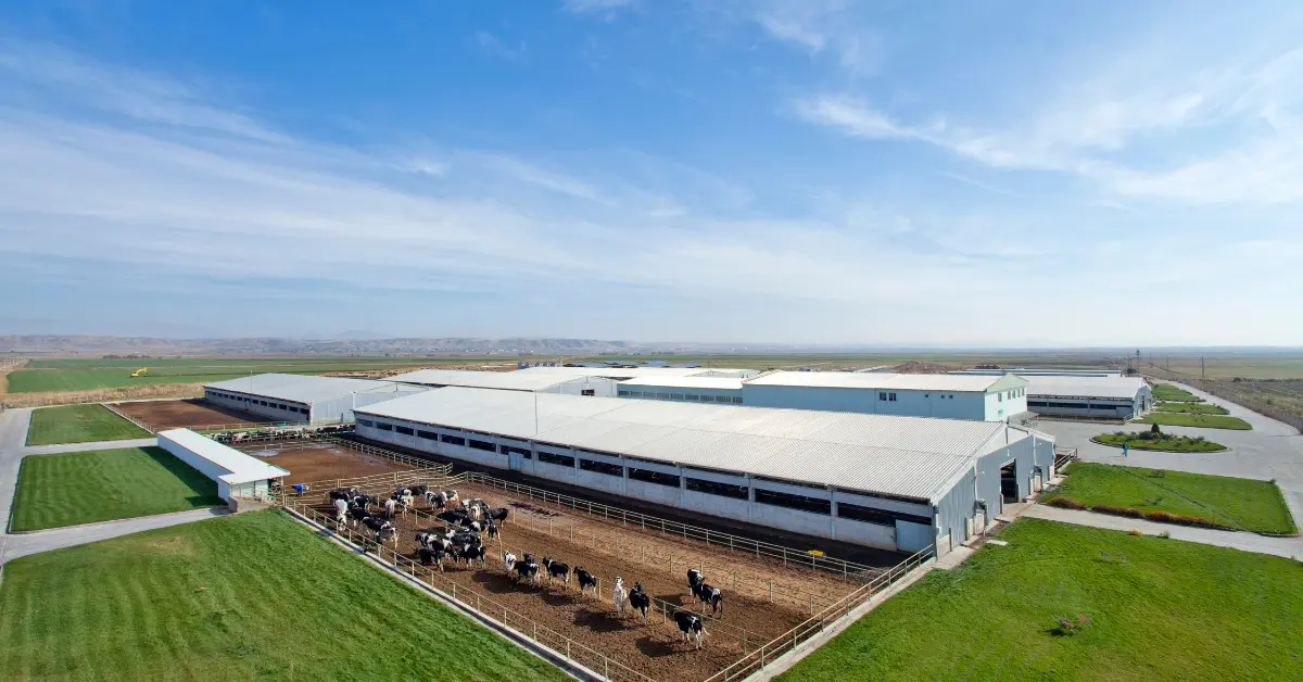 Livestock Feed: A Comprehensive Guide to Feeding Your Animals