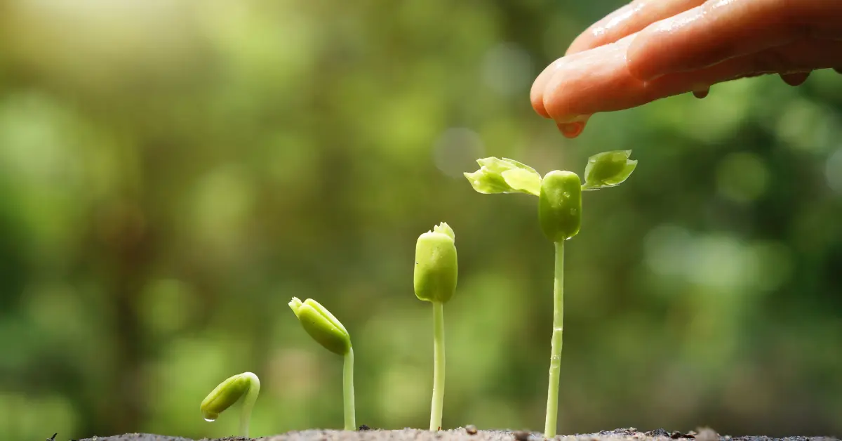 The Science of Precision Seed Treatment in Agriculture