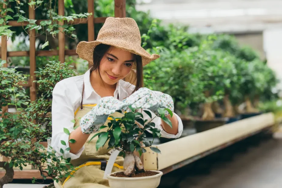 Como Fazer um Jardim de Inverno